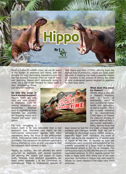 Save our hippos